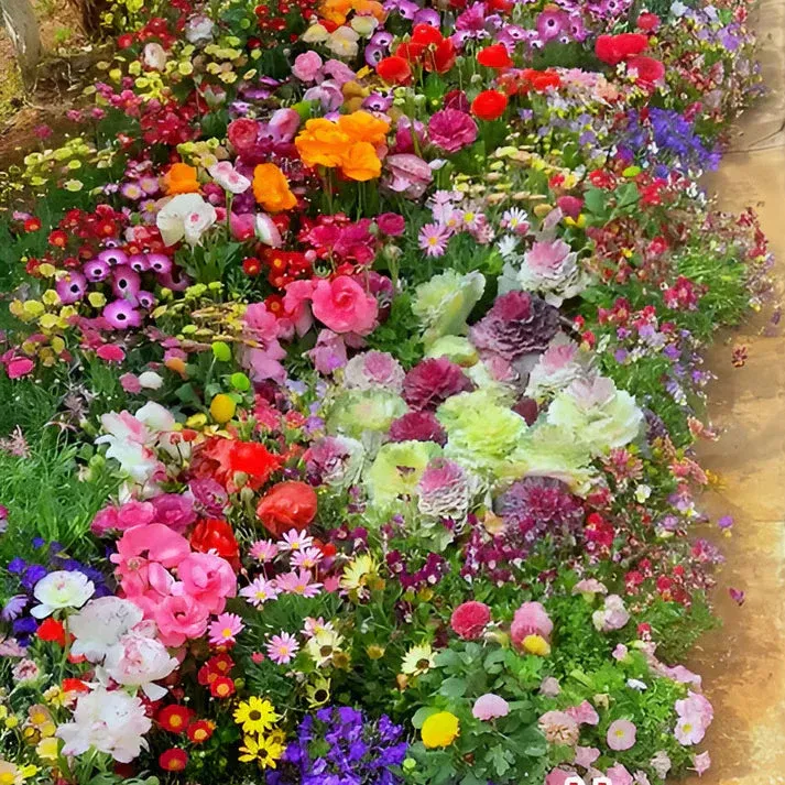 Varieties of Flower Seeds - Plant Supplement Free @ Just Rs.599/-