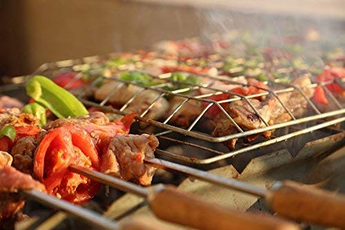 Barbeque Grill Jali with Handle @ Just Rs.499/-