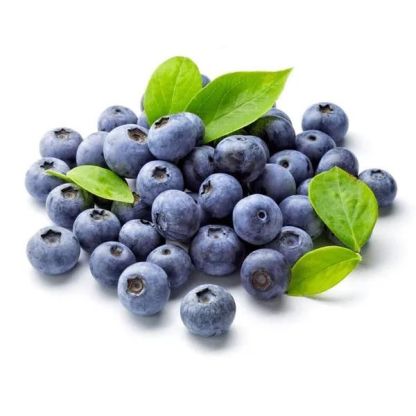 Giant Blueberry Fruit Seeds @ Just Rs.599/-
