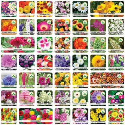 Varieties of Flower Seeds - Plant Supplement Free @ Just Rs.599/-