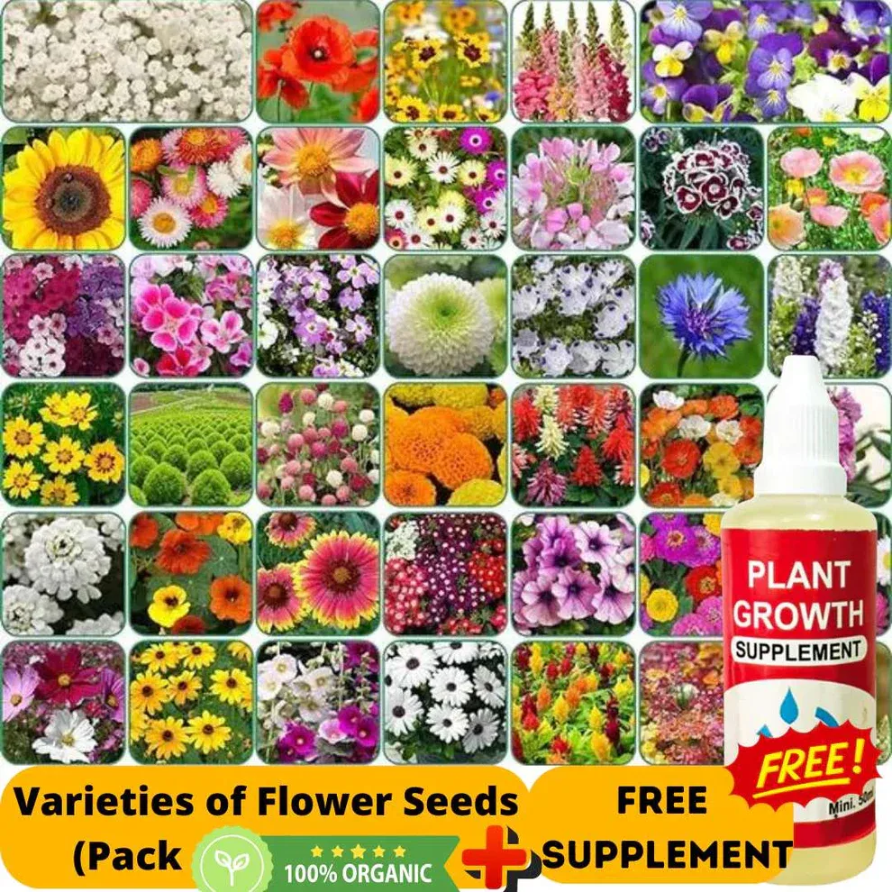Varieties of Flower Seeds - Plant Supplement Free @ Just Rs.599/-