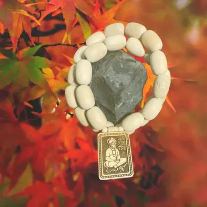 Bageshwar Dham Tulsi Mala (100% Original Tulsi beads)