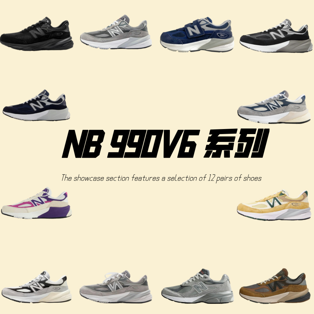NB 990V6 系列