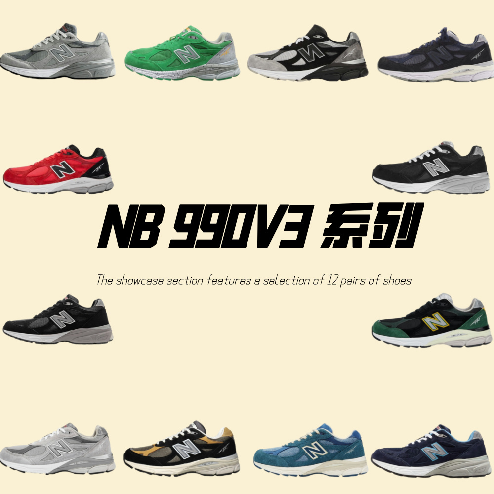 NB 990V3 系列