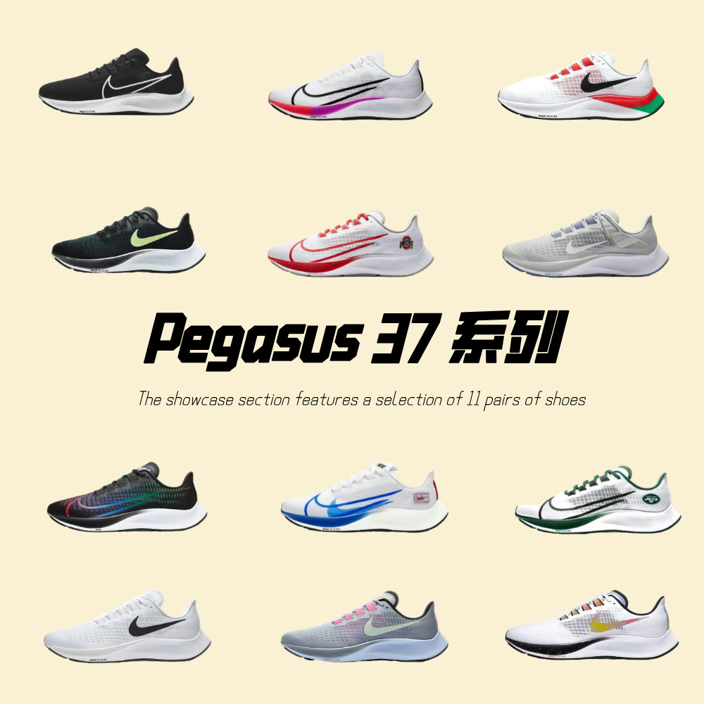 Pegasus 37 系列