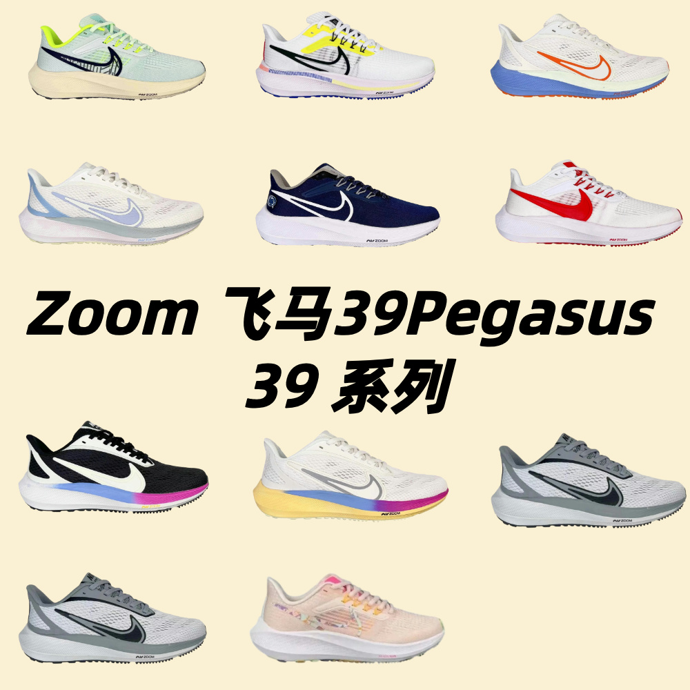 Zoom 飞马39Pegasus 39 系列