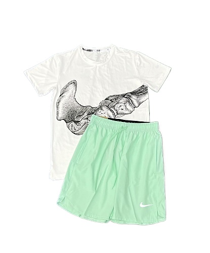 NIKE shorts