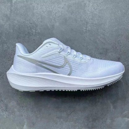 Zoom 飞马39Pegasus 39 系列