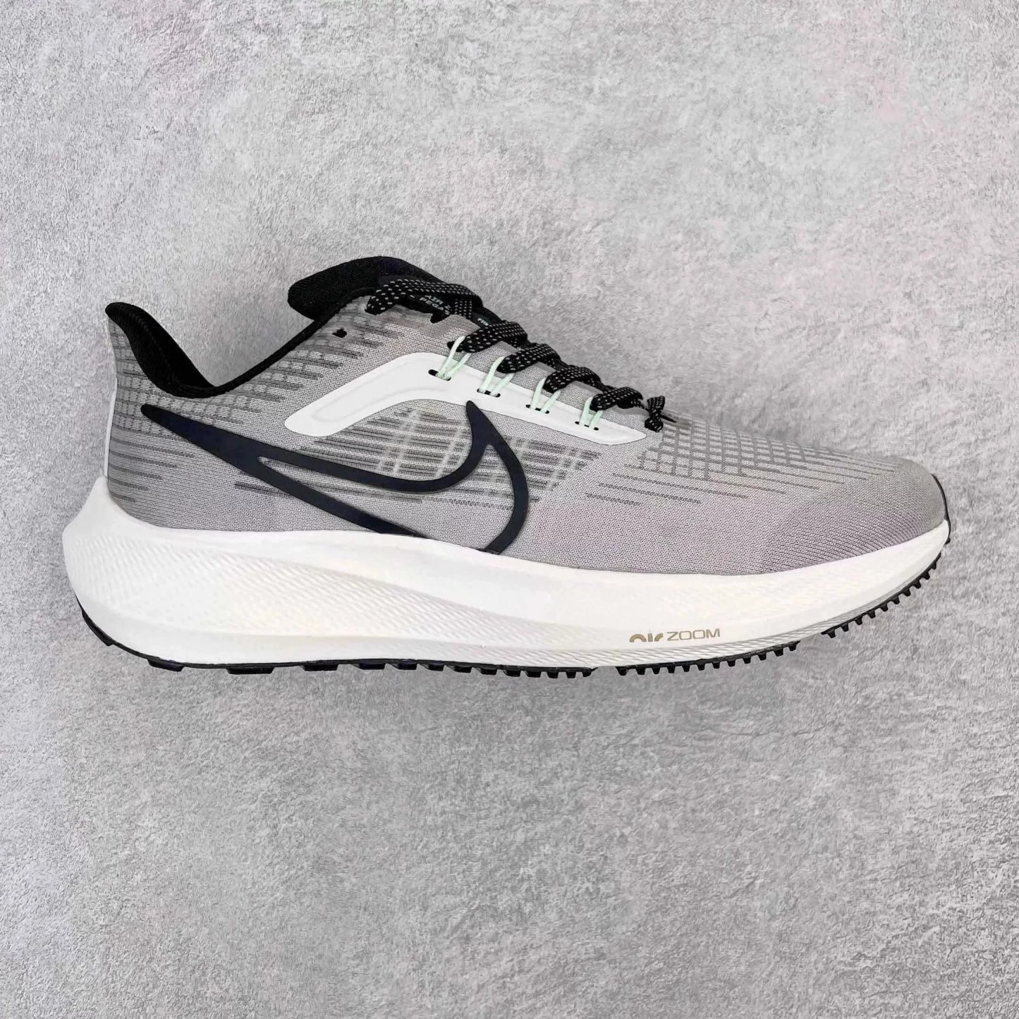 Zoom 飞马39Pegasus 39 系列