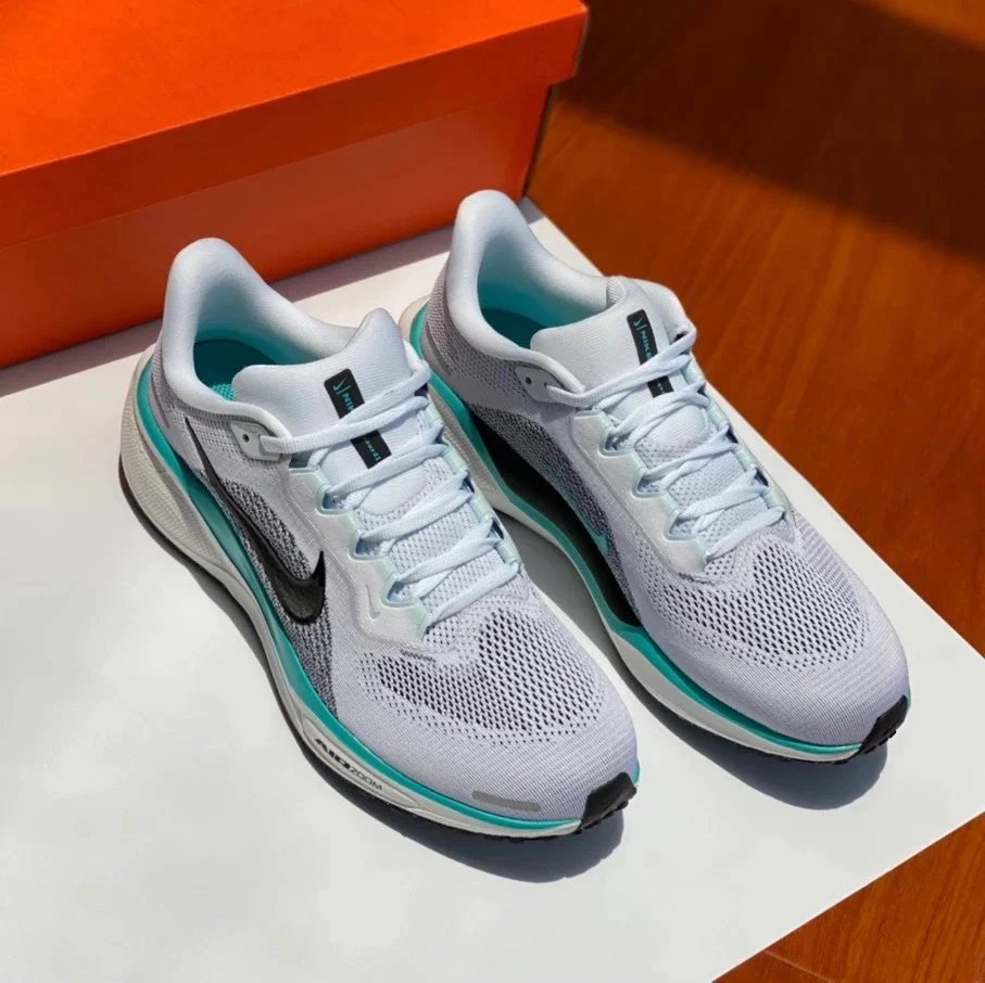Nike Air Zoom Pegasus 41