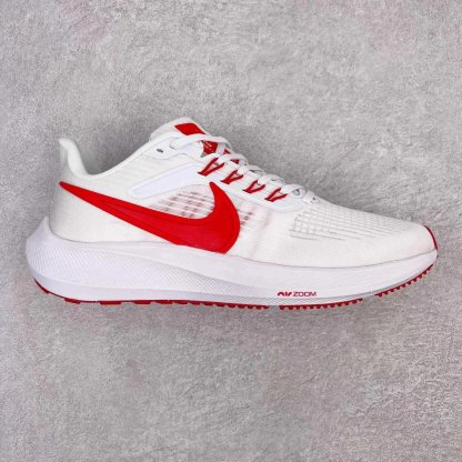 Zoom 飞马39Pegasus 39 系列