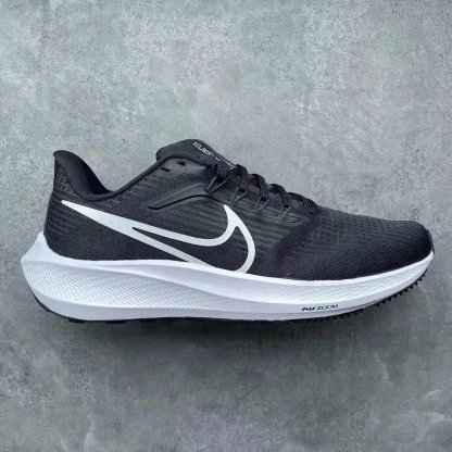 Zoom 飞马39Pegasus 39 系列