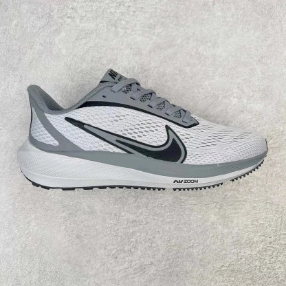 Zoom 飞马39Pegasus 39 系列