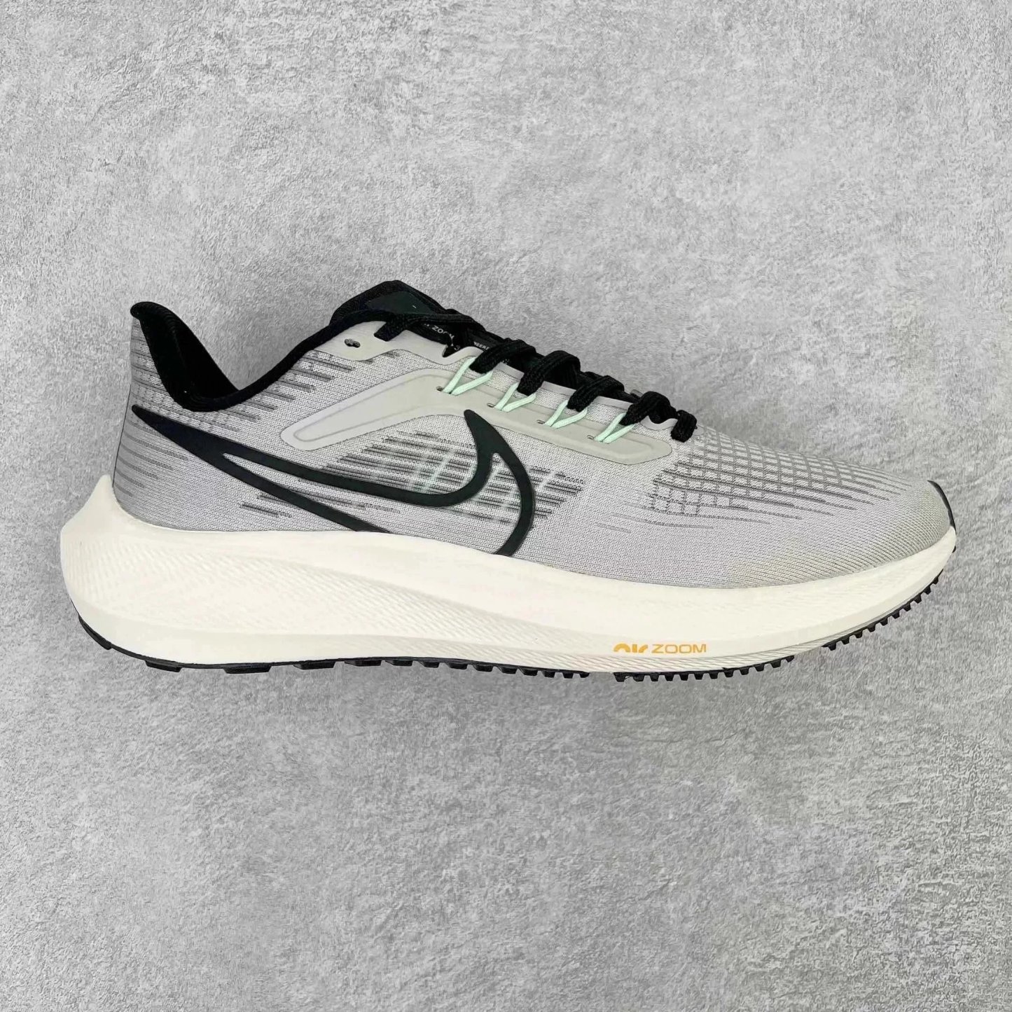 Zoom 飞马39Pegasus 39 系列