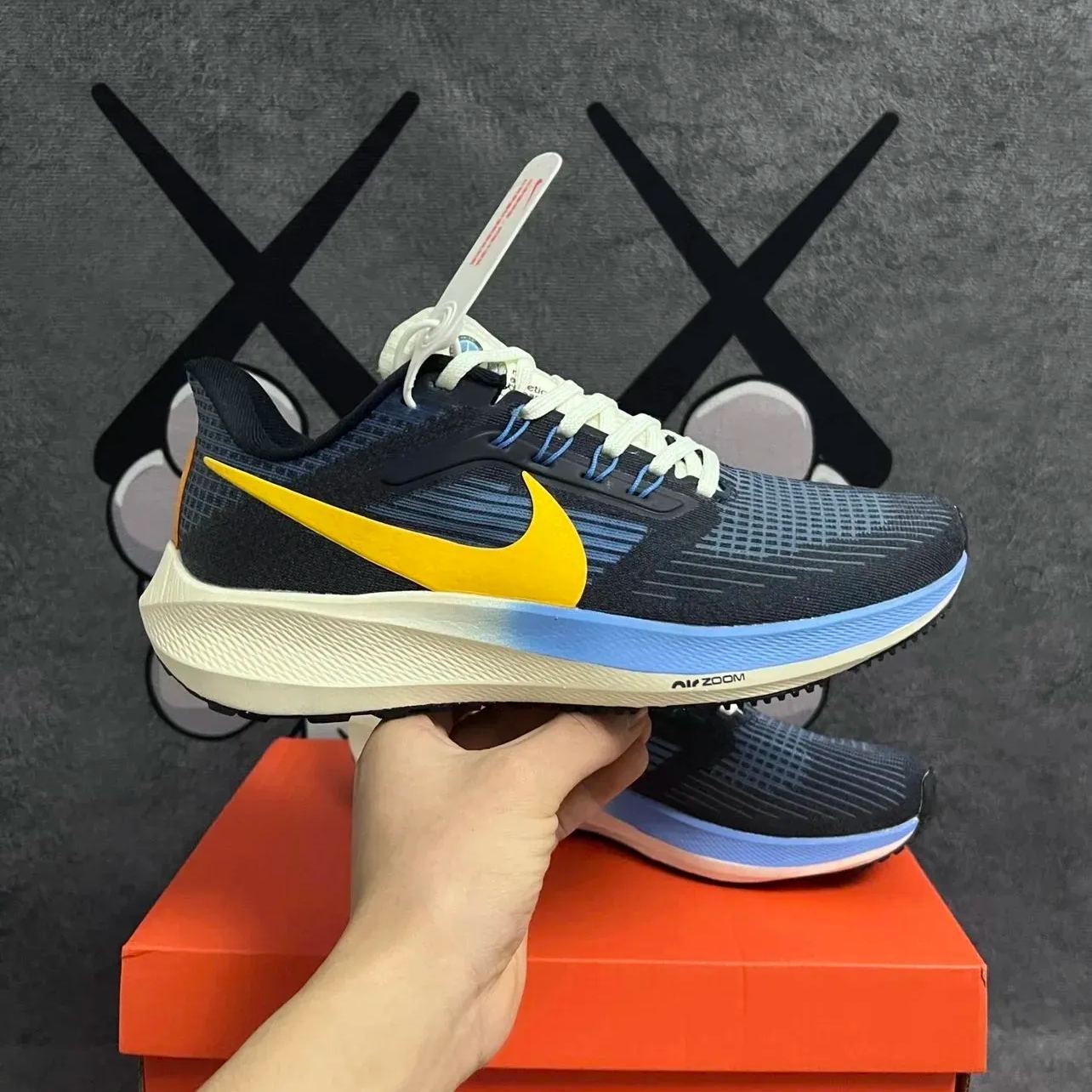 Zoom 飞马39Pegasus 39 系列