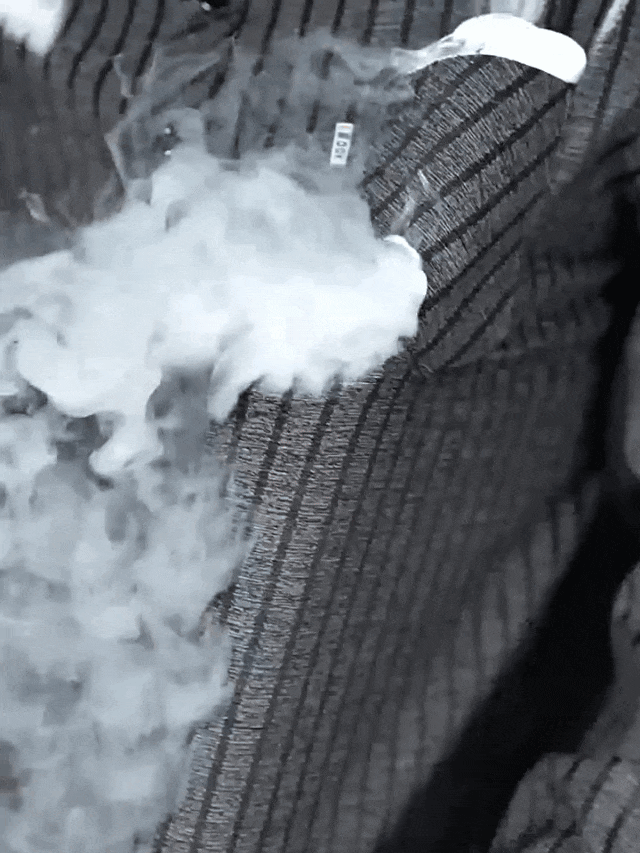1_017.gif