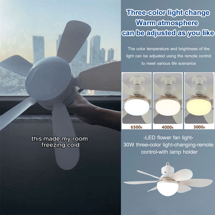 Round fan light