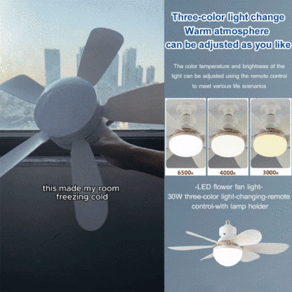 Round fan light
