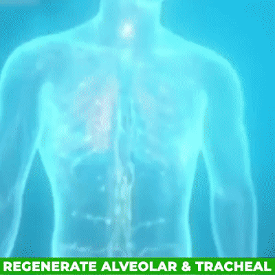 Mullein Flower Lung Clearing & Soothing Respiratory Drops