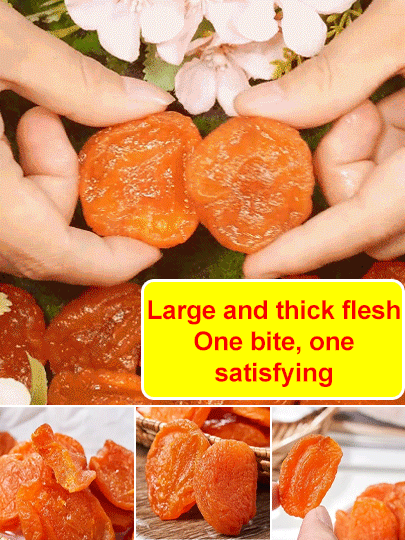 【Sweet and Soft】Additive-Free Pitted Dried Red Apricots