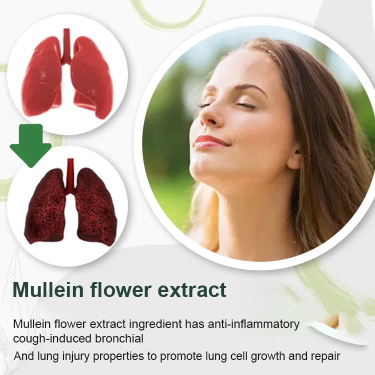 Mullein Flower Lung Clearing & Soothing Respiratory Drops