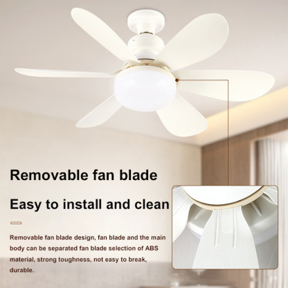 Round fan light