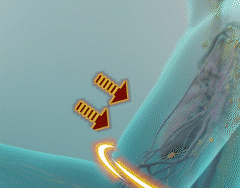 1b14d00a-535e-43ae-9b9a-975cc176270e.gif