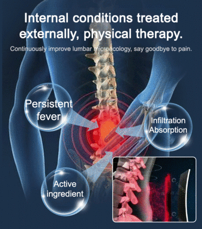 Li Shizhen Lumbar Acupoint Sticker
