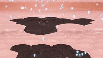 10-9-杨新育-1104470SL-两周吸走黑斑淡斑抗皱面膜_25.gif