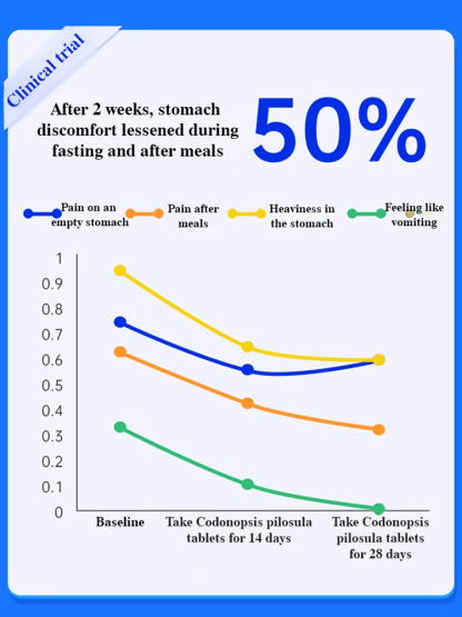 Healthy stomach and longevity - Codonopsis pilosula, cloves and tuckahoe tablets