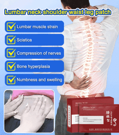 Li Shizhen Lumbar Acupoint Sticker