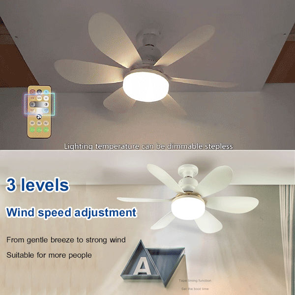 Round fan light