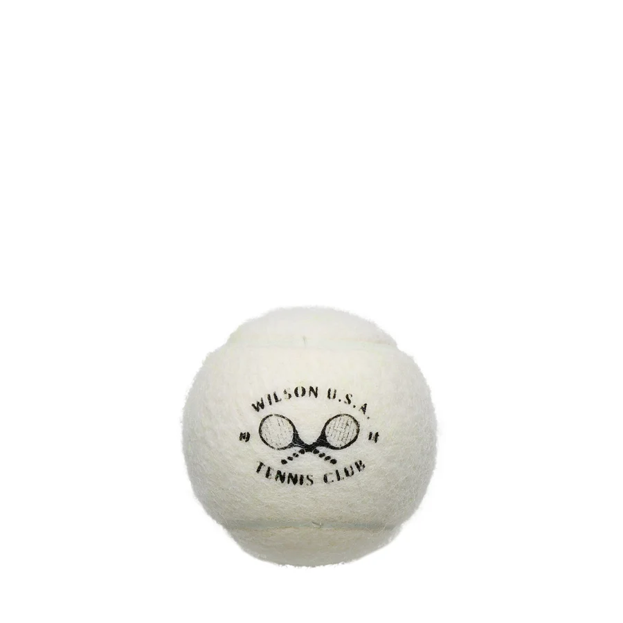 Wilson Championship Legacy 3 Ball Can White