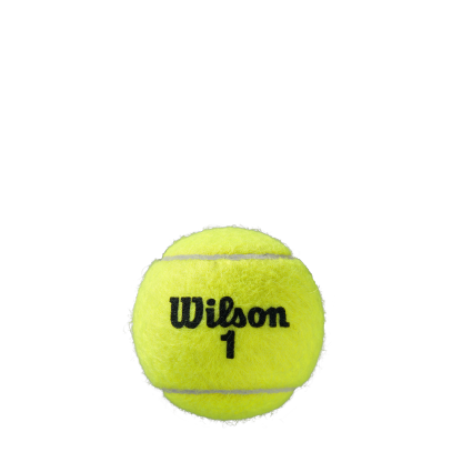 Roland Garros All Court Tennis Balls 3 Ball Can (4 Pack)