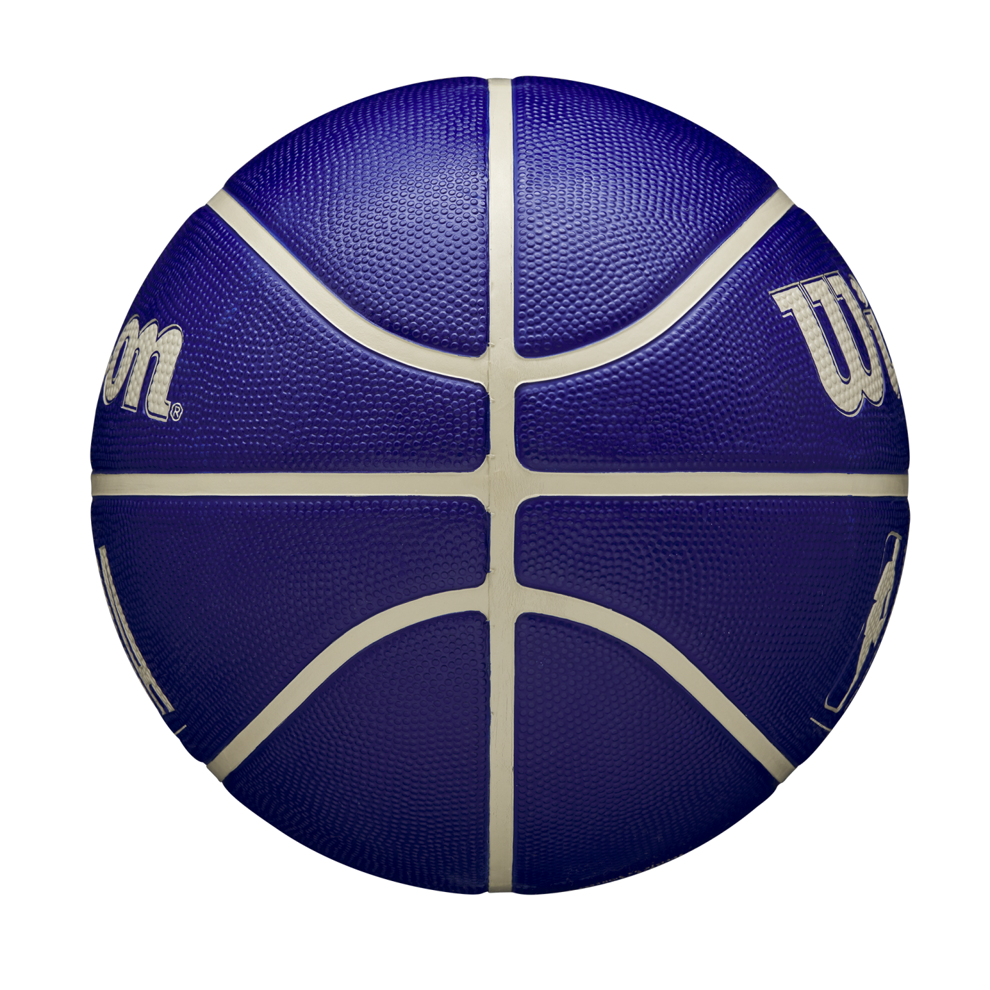 Wilson NBA DRV Basketball Indigo 7