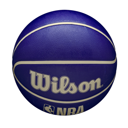 Wilson NBA DRV Basketball Indigo 7