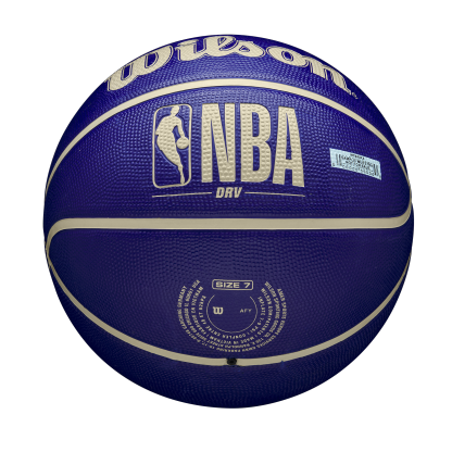 Wilson NBA DRV Basketball Indigo 7