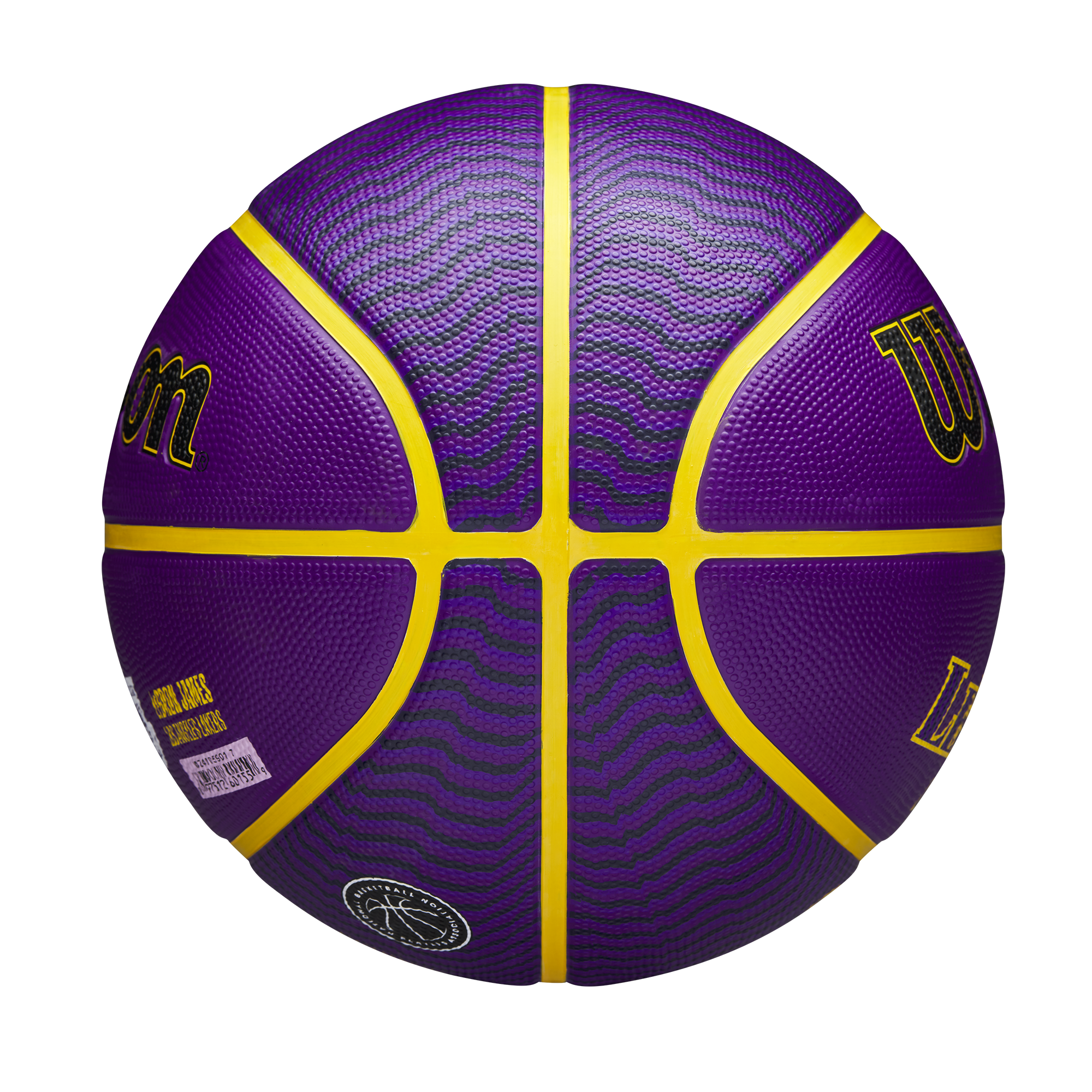 NBA LEBRON JAMES Outdoor Basketball