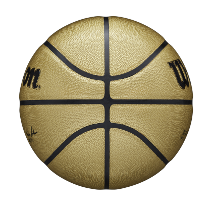 NBA Gold Edition Basketball