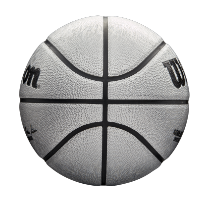 NBA Platinum Edition Basketball