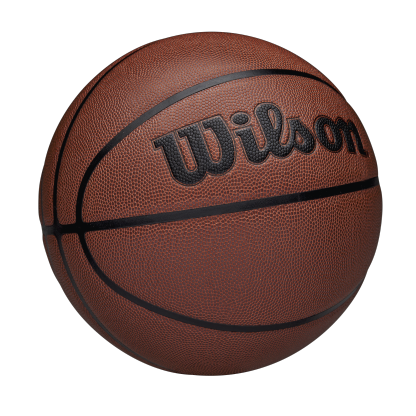 Wilson NBA Alliance Blank Basketball