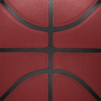 NBA Forge Basketball