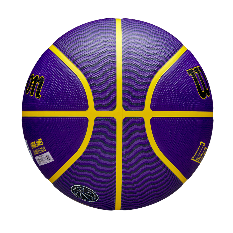 NBA Player Icon Outdoor Basketball Lebron James