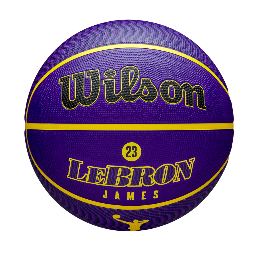 NBA Player Icon Outdoor Basketball Lebron James