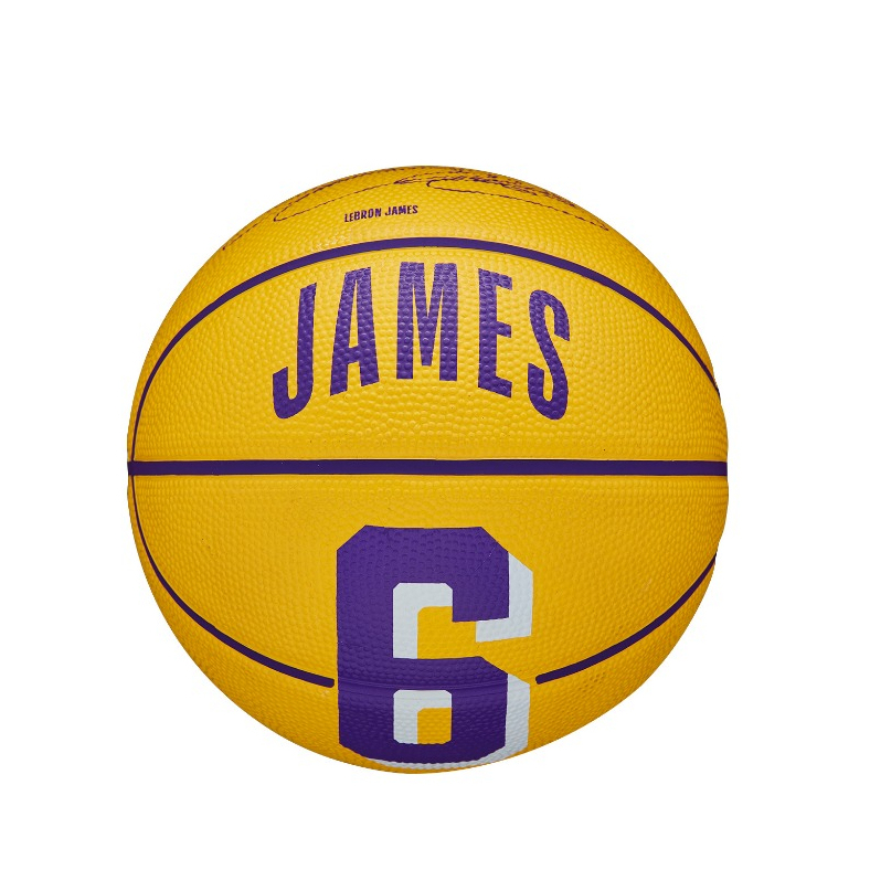 NBA Player Icon Mini Basketball