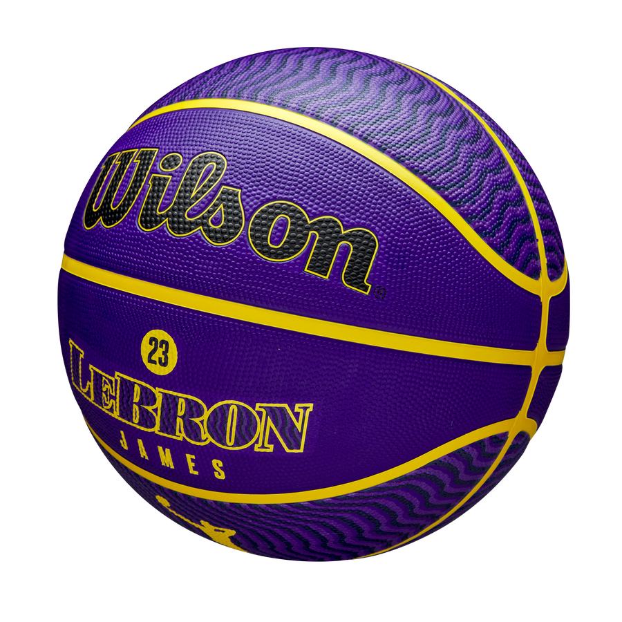 NBA Player Icon Outdoor Basketball Lebron James