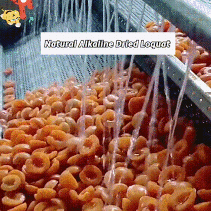 Bamboo bee salt loquat dried fruit 