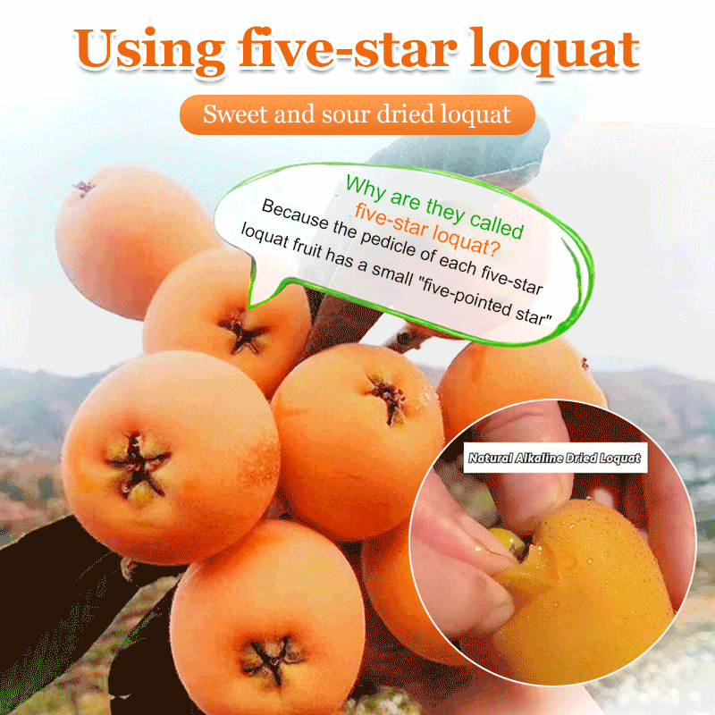 Bamboo bee salt loquat dried fruit 