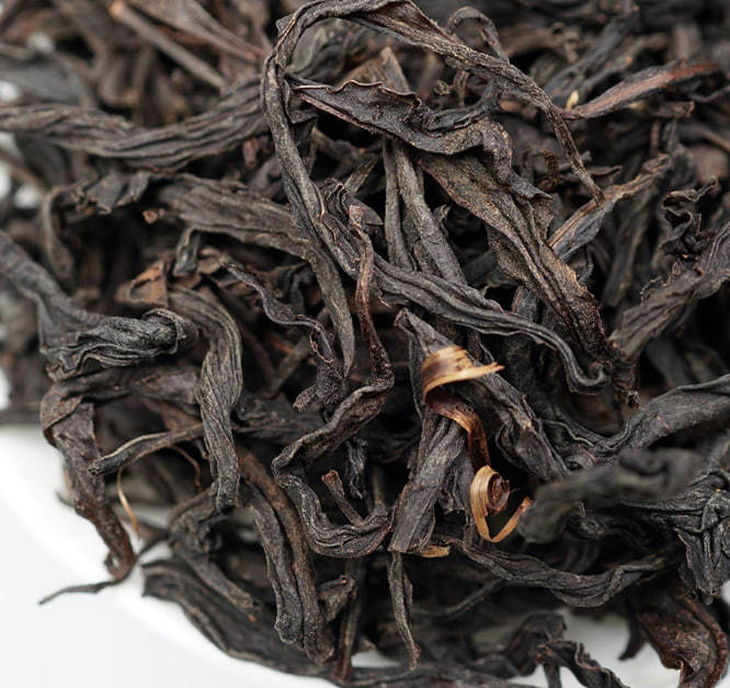 Lapsang Souchong · Tongmu Guan  正山小種·桐木關