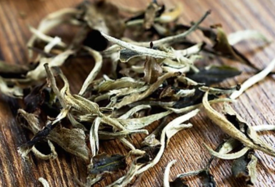 Fuding · White Peony  福鼎·白牡丹